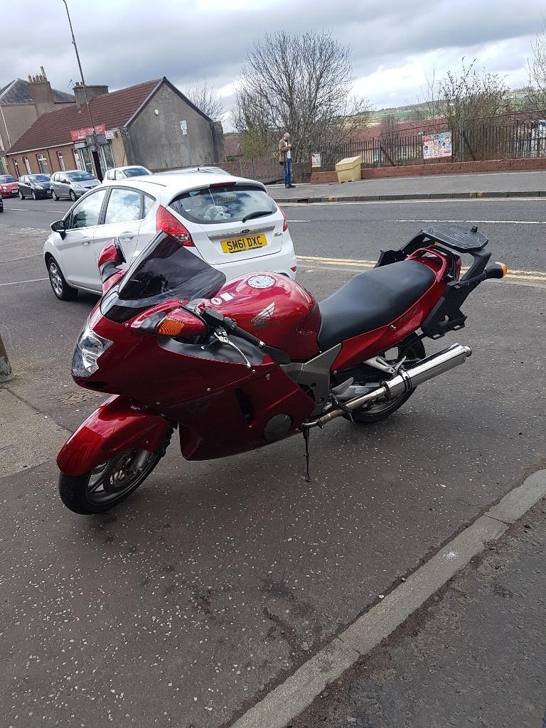 honda blackbird for sale gumtree